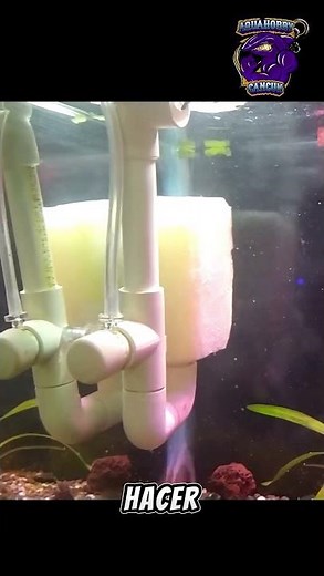 Homemade Sponge Filter DiY #aquarium #aquarium #diy