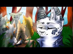 Ivypool MAP | Think im Sick - Part 14