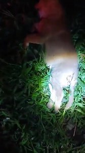 240K views · 3.9K reactions | Nangyari na po ang kinakatakutan...