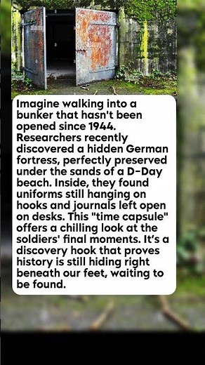 The Hidden Fortress Untouched for 80 Years| WW2 Tactics
