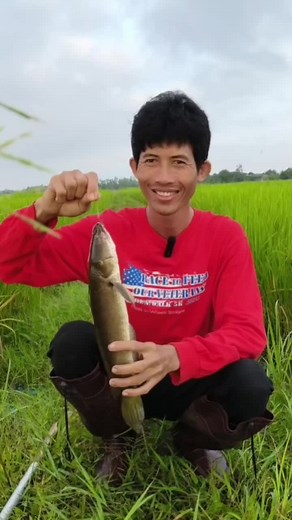 ปักเบ็ดปลาช่อนนา #หาอยู่หากินตามธรรมชาติ