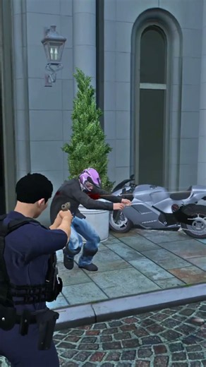 Partner In Action #gta #lspdfr #policesimulator