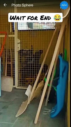 Funniest Location Found on Google Earth and Google maps 😂 #shorts #funnycats