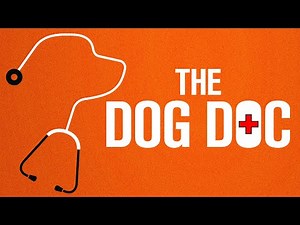 The Dog Doc - Official Trailer