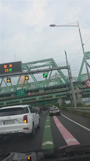 할미꽃사연2
