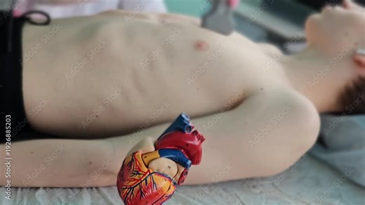 Diagnostic examination of the heart in children using ultrasound. Ultrasound examination of the heart in a teenager concept