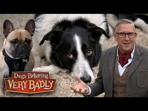 Dogs Who Won't Stop Barking | Dogs Behaving Very Badly