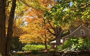 #1 BEST Vermont Inn Bed and Breakfast | Westhill House B&B