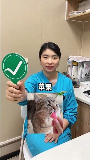 What cats can and cannot eat (Fruits)#veterinarian #pets #cat