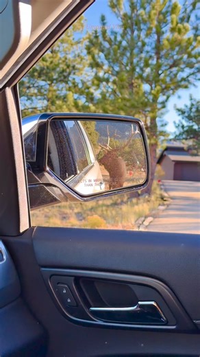 1.4K views · 256 reactions | He rose in my mirror like a memory of...