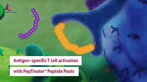 Antigens and peptide pools | antigen specific T cells | Miltenyi Biotec | USA
