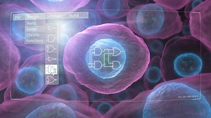 Scientists Find Way to Predict Useful Genetic Designs