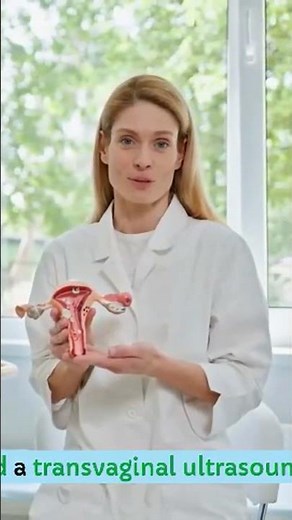 Transvaginal Ultrasound: What It Is & Why You Might Need One!