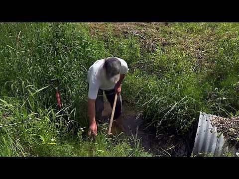 WCTEP #17: Bottom Edge Sets