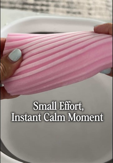 Effortless Cleaning with Scrub Daddy Damp Duster