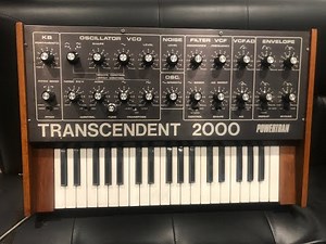 TRANSCENDENT 2000 ANALOG MONO SYNTH DEMO by MARK JENKINS