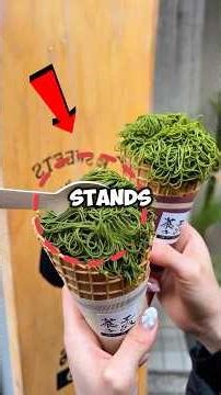 3 Reasons to Live In Japan!🇯🇵 #japan