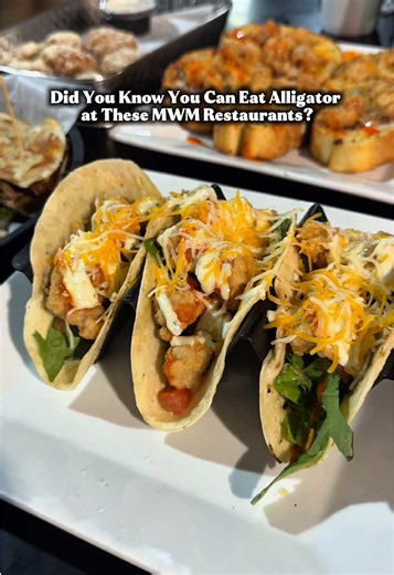 When in Louisiana…try the gator.🐊 Whether you like it fried, grilled, or served with a Cajun twist, Monroe-West Monroe has several spots where you can get a true taste of the South. #DiscoverMWM #GatorDishes