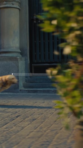 Ya llegó el nuevo 5G más power, más veloz y con una mejor experiencia. Cámbiate a la Señal Power⚡️📱 | Entel Perú