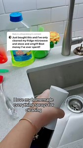 444K views · 2.3K reactions | My DIY cleaning solutions are going to change how you clean. Comment “e-book” for the link to all my recipes cleaning tips, trick, hacks, and more. #cleaninghacks #Cleaning #mopsquadhandbook | Danielle Tays | Facebook