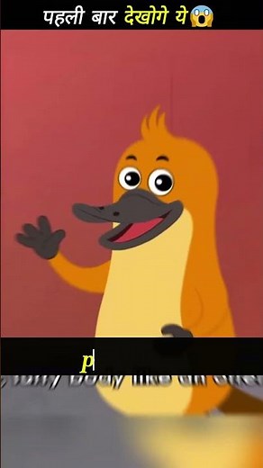 How is this the world's weirdest animal😱 #fact video #factsonic