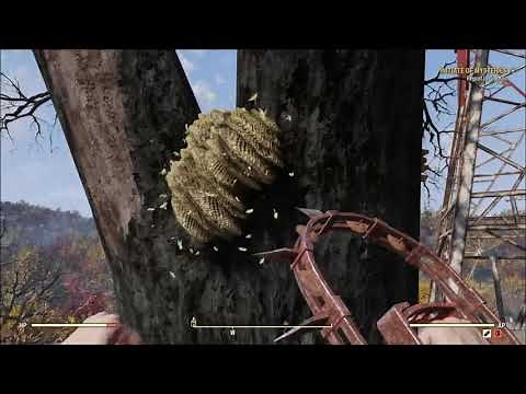 Fallout 76 Honey Locations