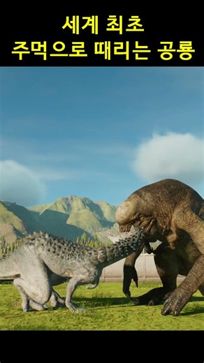 주먹 왕 디렉스
