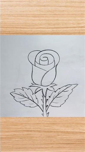 How to draw rose drawing easy step by step