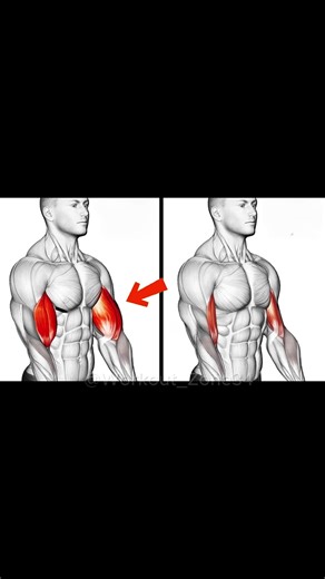 Top 6 Bicep Workouts for Insane Arm Growth! 💪🏋️‍♂️ #biceps #bicepworkout #armday #gymtok #fitness