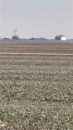 Solar Panels, Grain Bins #landscape