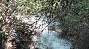 4.9K views · 53 reactions | A BeUTAHful Day on the BST in Sandy and Draper. | FOX 13 News | Facebook