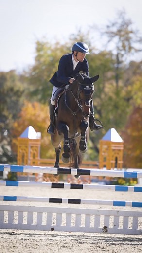 Barney gearing up for this week’s CCI2*L in Tryon! #eventing #showjumping #equestrian