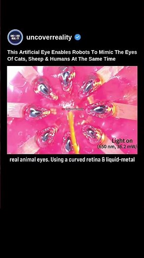 This Artificial Eye Enables Robots To Mimic Eyes Of Cats, Sheep & Humans At Same Time #robot #shorts