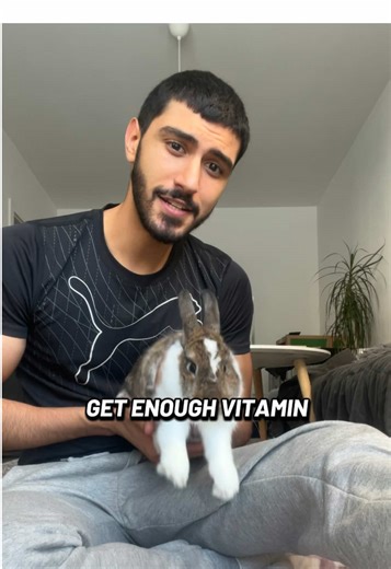 Please always make sure your pet rabbit is healthy