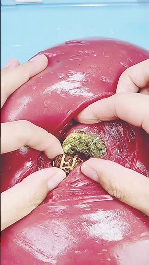 SATISFYING WITH CLAY PIPING BAG & FOAM SLIME and GLITTER|Mixing Random Things Into GLOSSY Slime#joly