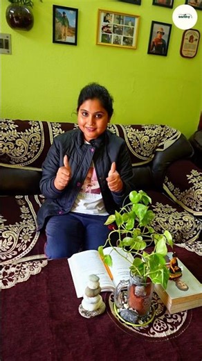 DIY money plant home decor ideas