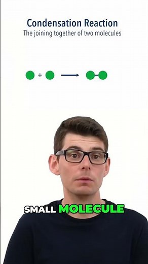 Condensation and Polymerisation Reactions Explained!