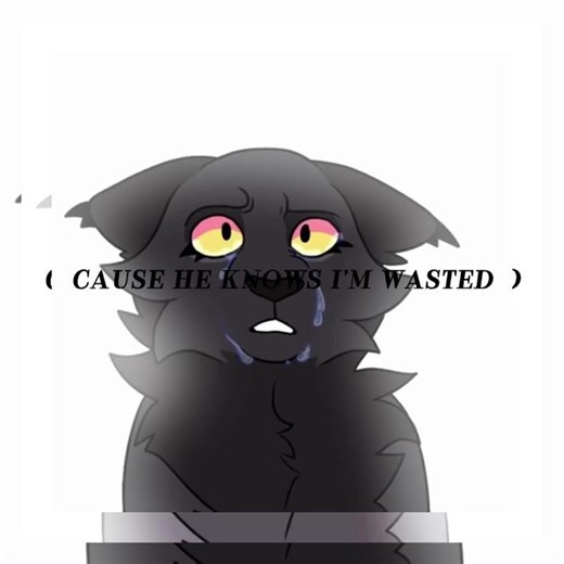 Nightcloud edit #nightcloud #warriorcats