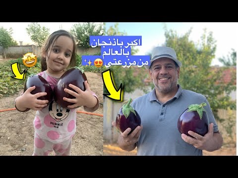روتيني اليومي ومحصول مزرعتي👨‍🌾| قبول بنتي بسملة بالجامعة✨😍