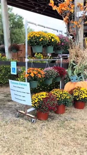 6.2K views · 94 reactions | Fall fun on the farm this past weekend! | Cannon Farms | Facebook