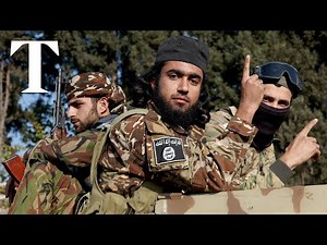 How Assad’s regime finally fell in Syria