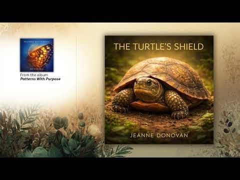 The Turtle's Shield