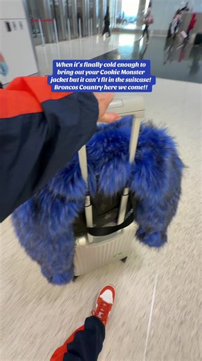 Cookie Monster Jacket for Cold Weather Travel