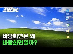 윈도우95 한글판 번역팀에서 일했던 사람 만나봄 / 스브스뉴스
