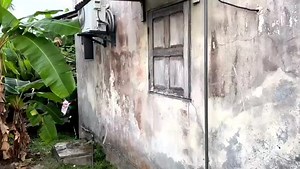 😡Moi j'ai rien fais de mal 🤷🏻‍♂️ juste dans ma communcation maintenant...😂💚🇫🇷🇨🇲🇸🇳🇨🇩🇨🇬🇧🇯🇰🇲🇭🇹🇨🇭🇧🇪🇩🇪🇹🇷🇹🇩🇹🇬🇬🇦🇬🇳🇨🇮🇳🇪🇲🇦🇧🇫🇨🇫🇲🇨🇪🇸🇮🇹🇷🇼🇸🇪... | Chambre À Louer l'humoriste