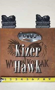 Kizer Hawk | It’s a beautiful knife | Polished DLC sheepsfoot blade | EDC #edc #blade