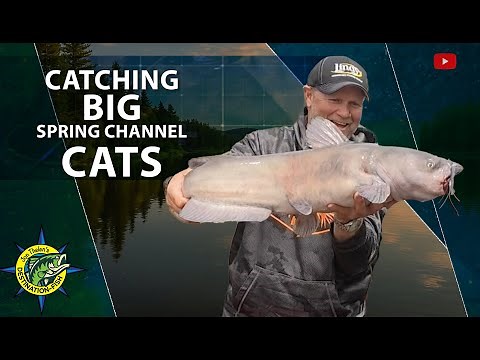 Catching Big Spring Channel Catfish | Jon Thelen’s Destination Fish
