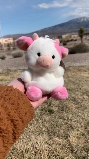 Round Body 🥺 Plushiepets.net to shop! 🌸 #plushies #cuteplushies #adorableplushies #plushiepets #petplushies #lovelyplushies #iloveplushies #plushiepresent #plushieshop #plushiemission #plushietoy #plushietoys #robloxplushie #plushieroblox #plushieblox #plushshop #plushiekids #kidsplushie #plushiegifts #cute #adorable #beautiful #explore #explorepage #foryoupage #fyp