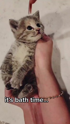 do you think he enjoyed it? 🥺 #cutekitten #spicy #sourpatchkids #rescue #bathtime #rubadubdub