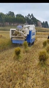 A field demonstration on a rice harvesting. Technology driven agriculture for higher yield. #agriculture #viralreelsシ #fblifestyle @highlight | Akir Andrew Iorfa